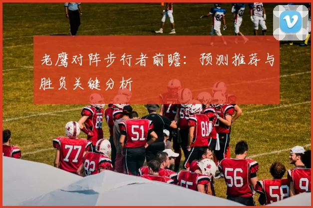 老鹰对阵步行者前瞻：预测推荐与胜负关键分析