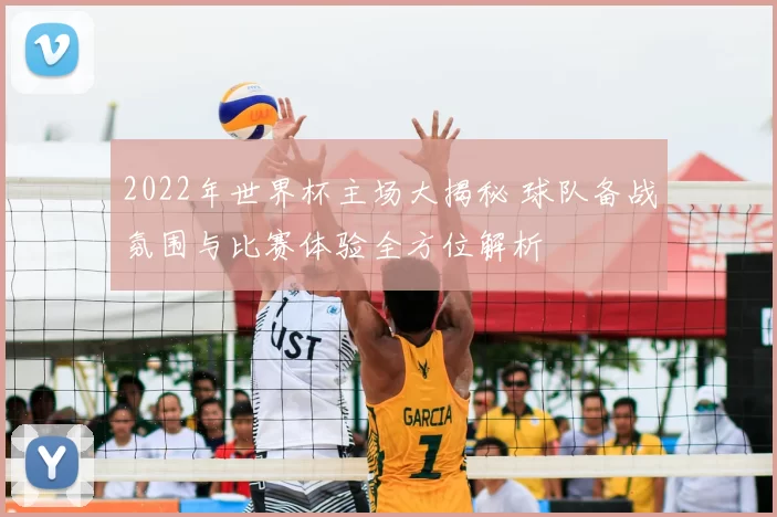 2022年世界杯主场大揭秘 球队备战氛围与比赛体验全方位解析