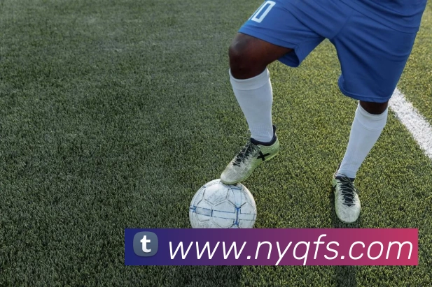 星空体育综合体育官网入口服务体系